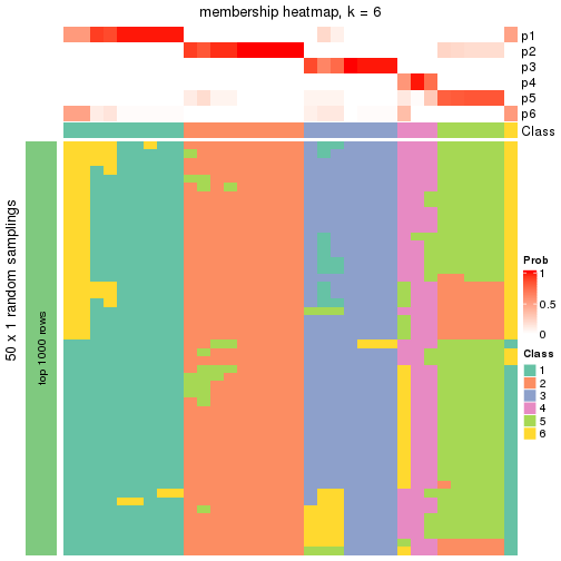 plot of chunk tab-node-042-membership-heatmap-5