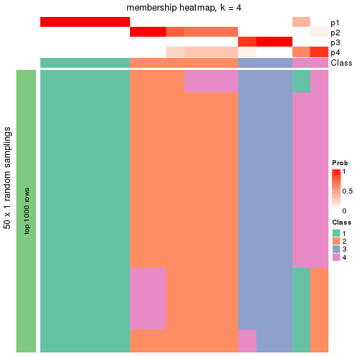 plot of chunk tab-node-0422-membership-heatmap-3