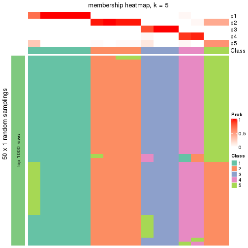 plot of chunk tab-node-0422-membership-heatmap-4