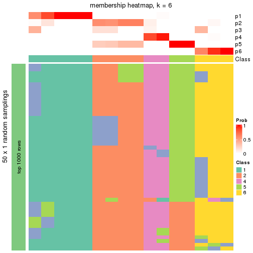 plot of chunk tab-node-0422-membership-heatmap-5