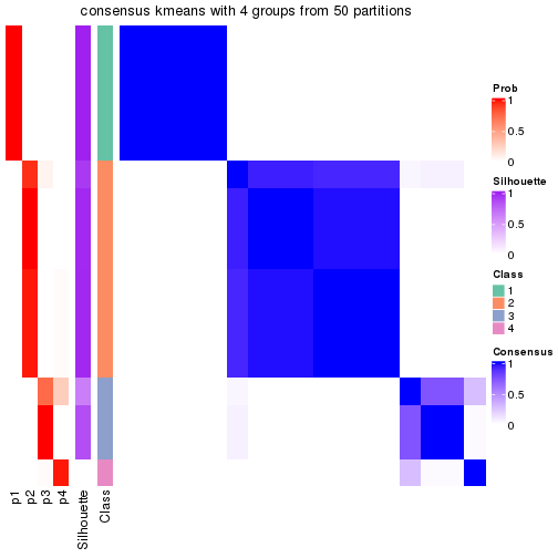 plot of chunk tab-node-043-consensus-heatmap-3