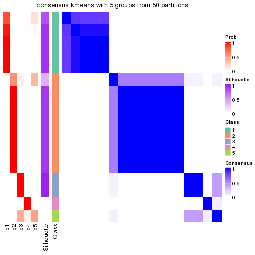 plot of chunk tab-node-043-consensus-heatmap-4