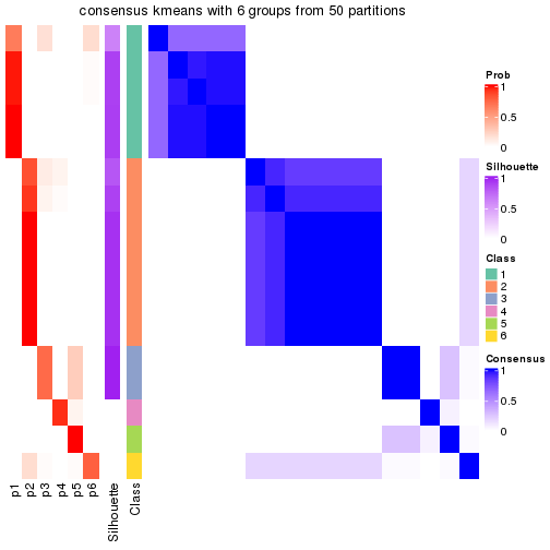 plot of chunk tab-node-043-consensus-heatmap-5