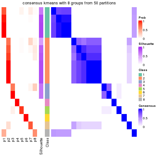 plot of chunk tab-node-043-consensus-heatmap-7