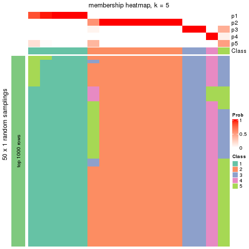 plot of chunk tab-node-043-membership-heatmap-4