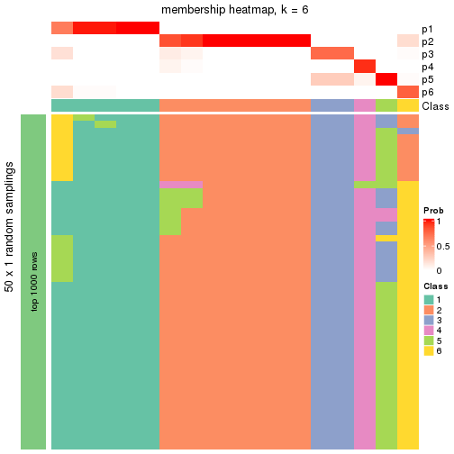 plot of chunk tab-node-043-membership-heatmap-5