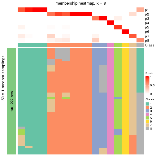 plot of chunk tab-node-043-membership-heatmap-7