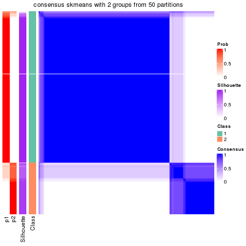 plot of chunk tab-node-0-consensus-heatmap-1