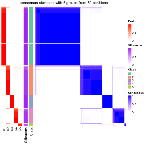 plot of chunk tab-node-0-consensus-heatmap-4