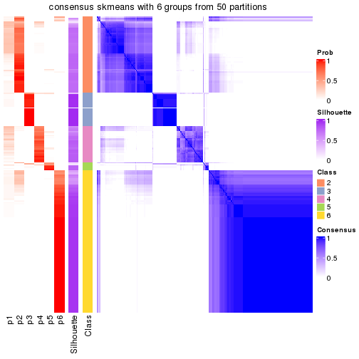 plot of chunk tab-node-0-consensus-heatmap-5