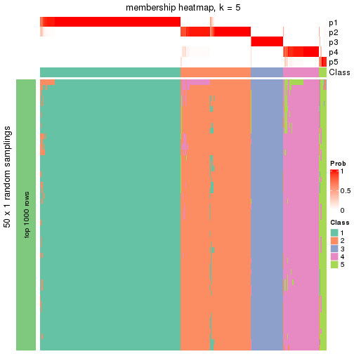 plot of chunk tab-node-0-membership-heatmap-4