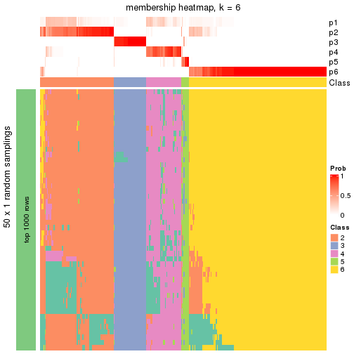 plot of chunk tab-node-0-membership-heatmap-5