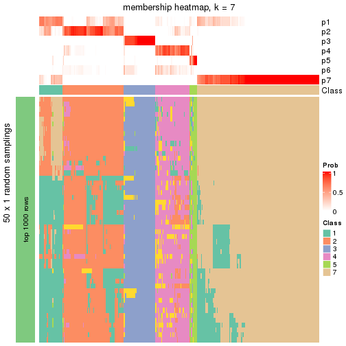 plot of chunk tab-node-0-membership-heatmap-6