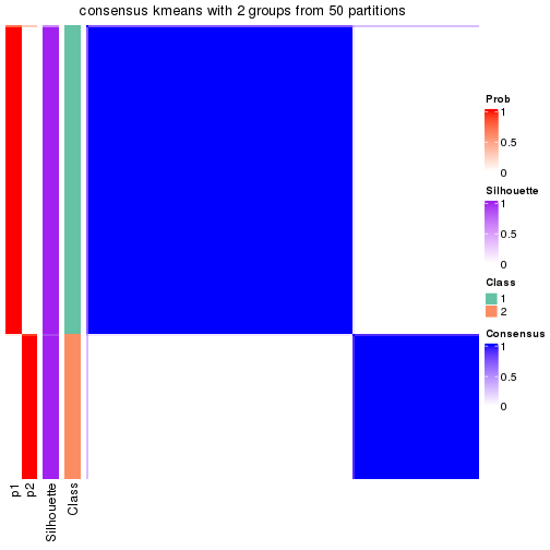 plot of chunk tab-node-01-consensus-heatmap-1