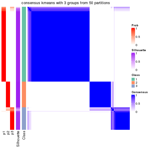 plot of chunk tab-node-01-consensus-heatmap-2