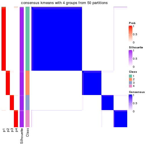 plot of chunk tab-node-01-consensus-heatmap-3