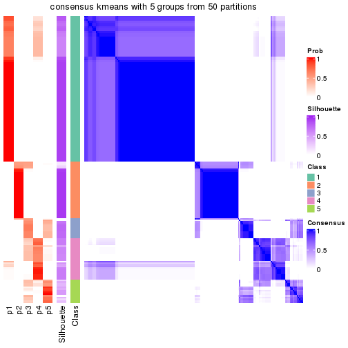 plot of chunk tab-node-01-consensus-heatmap-4