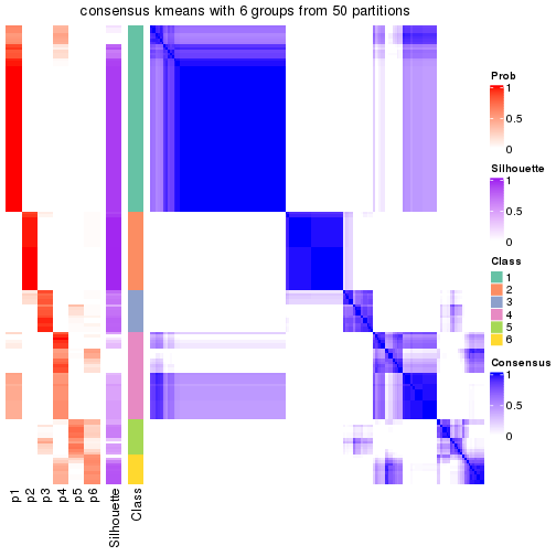 plot of chunk tab-node-01-consensus-heatmap-5