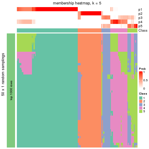 plot of chunk tab-node-01-membership-heatmap-4