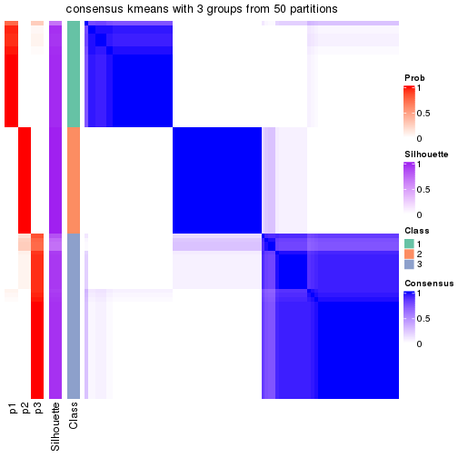 plot of chunk tab-node-011-consensus-heatmap-2