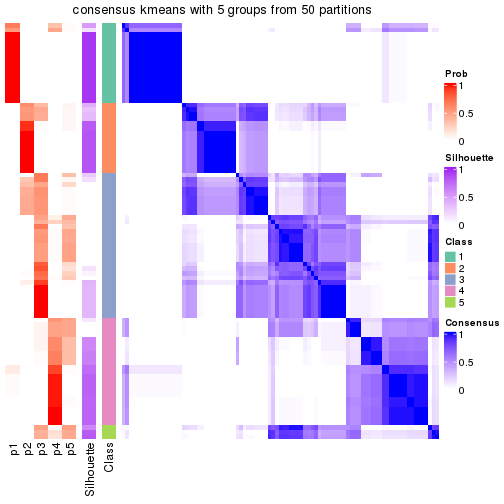 plot of chunk tab-node-011-consensus-heatmap-4