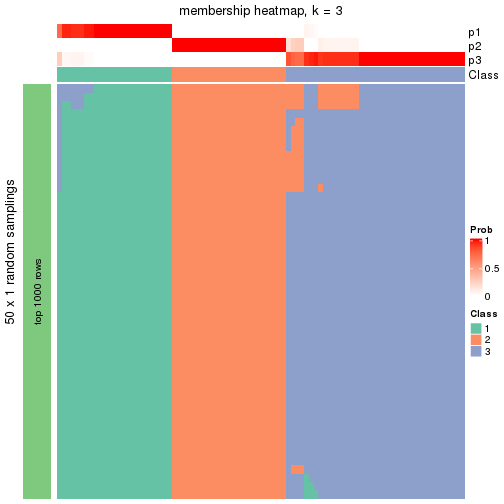 plot of chunk tab-node-011-membership-heatmap-2