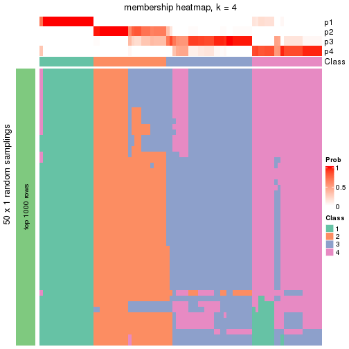 plot of chunk tab-node-011-membership-heatmap-3