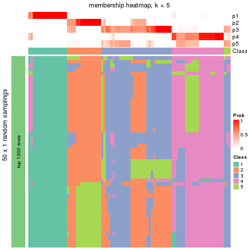 plot of chunk tab-node-011-membership-heatmap-4