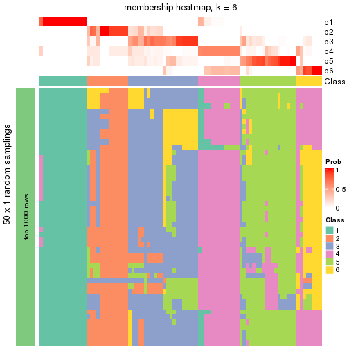 plot of chunk tab-node-011-membership-heatmap-5