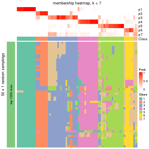 plot of chunk tab-node-011-membership-heatmap-6