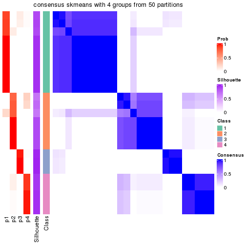 plot of chunk tab-node-0111-consensus-heatmap-3