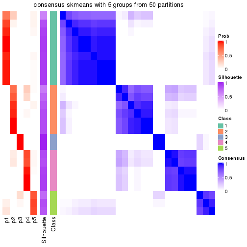 plot of chunk tab-node-0111-consensus-heatmap-4