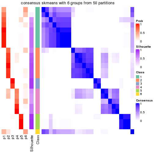 plot of chunk tab-node-0111-consensus-heatmap-5