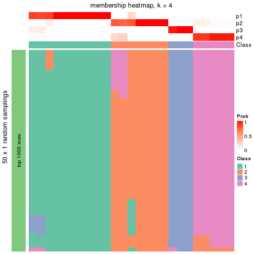 plot of chunk tab-node-0111-membership-heatmap-3