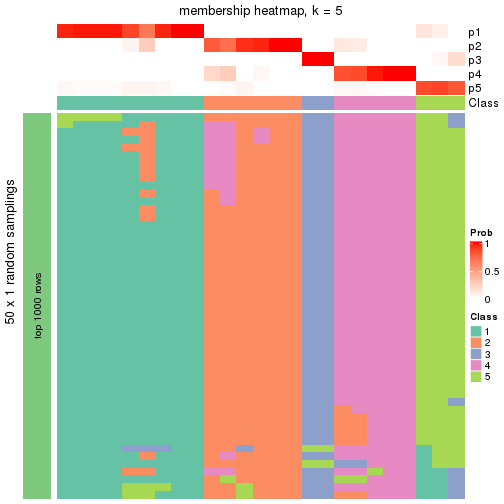 plot of chunk tab-node-0111-membership-heatmap-4