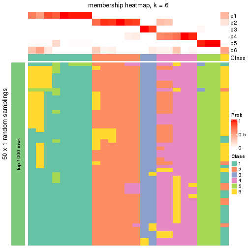 plot of chunk tab-node-0111-membership-heatmap-5