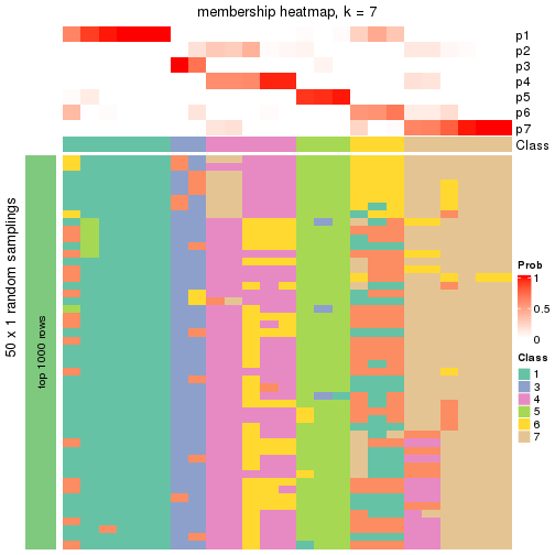 plot of chunk tab-node-0111-membership-heatmap-6