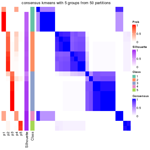 plot of chunk tab-node-0112-consensus-heatmap-4