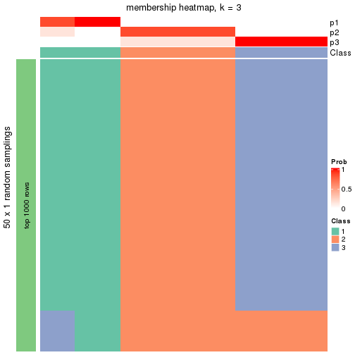 plot of chunk tab-node-0112-membership-heatmap-2