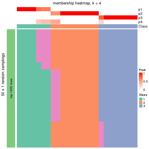 plot of chunk tab-node-0112-membership-heatmap-3