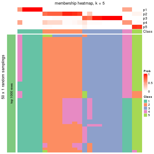 plot of chunk tab-node-0112-membership-heatmap-4