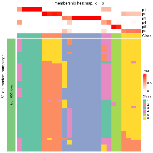 plot of chunk tab-node-0112-membership-heatmap-5