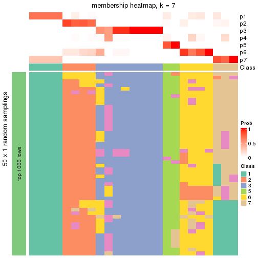 plot of chunk tab-node-0112-membership-heatmap-6