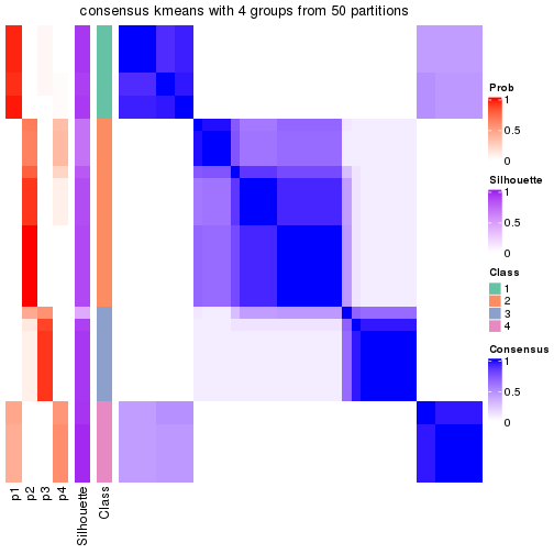 plot of chunk tab-node-0113-consensus-heatmap-3