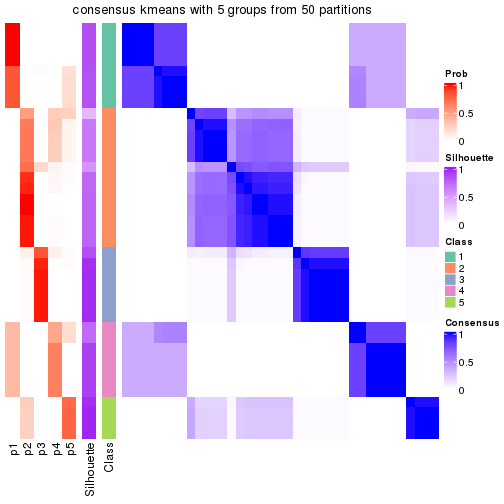 plot of chunk tab-node-0113-consensus-heatmap-4