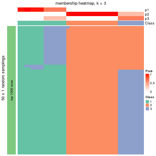 plot of chunk tab-node-0113-membership-heatmap-2