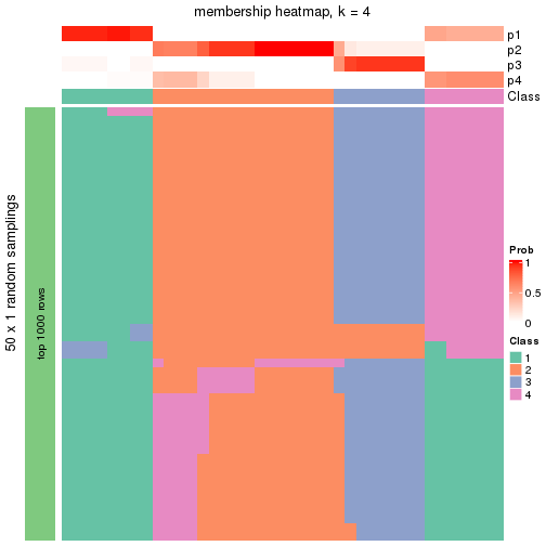 plot of chunk tab-node-0113-membership-heatmap-3