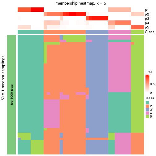 plot of chunk tab-node-0113-membership-heatmap-4