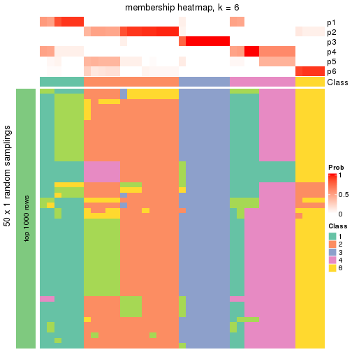 plot of chunk tab-node-0113-membership-heatmap-5