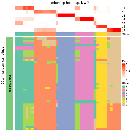 plot of chunk tab-node-0113-membership-heatmap-6